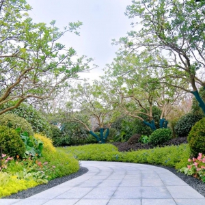 別墅庭院設(shè)計(jì)的后期如何養(yǎng)護(hù)方兴未艾？